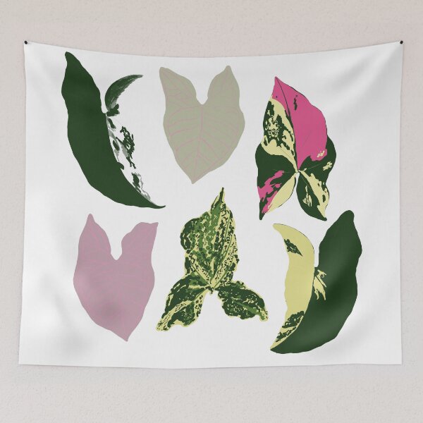 Item preview, Syngonium Flatlay designed and sold by lu-lu.