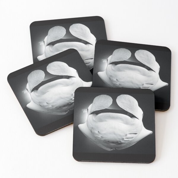 Item preview, Manta ray in Maldives 4 designed and sold by Jose Antonio  Castellano Garrido.