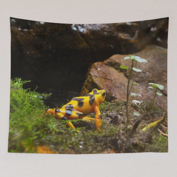 Item preview, Yellow Tree Frog designed and sold by aec157.