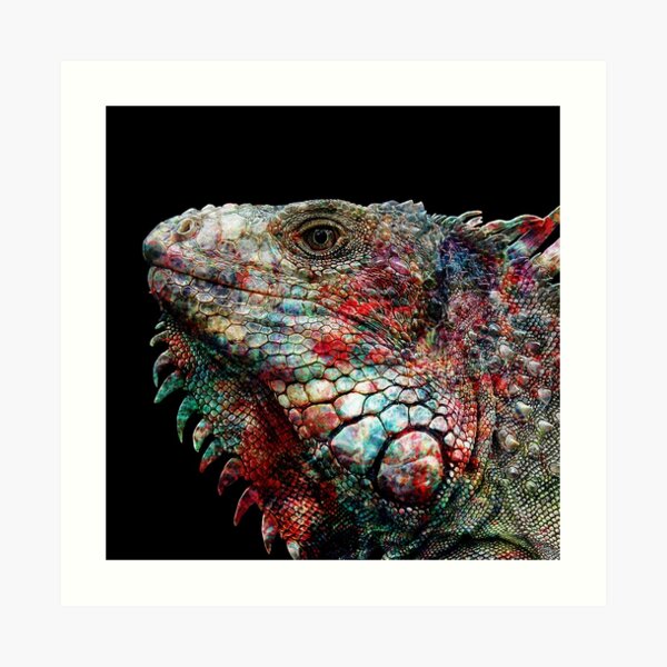Rainbow Lizard Art Print