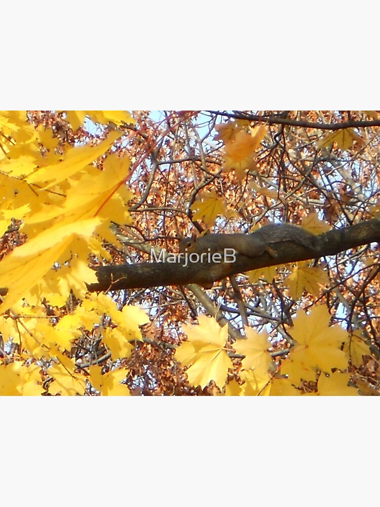 Become the Branch... by MarjorieB