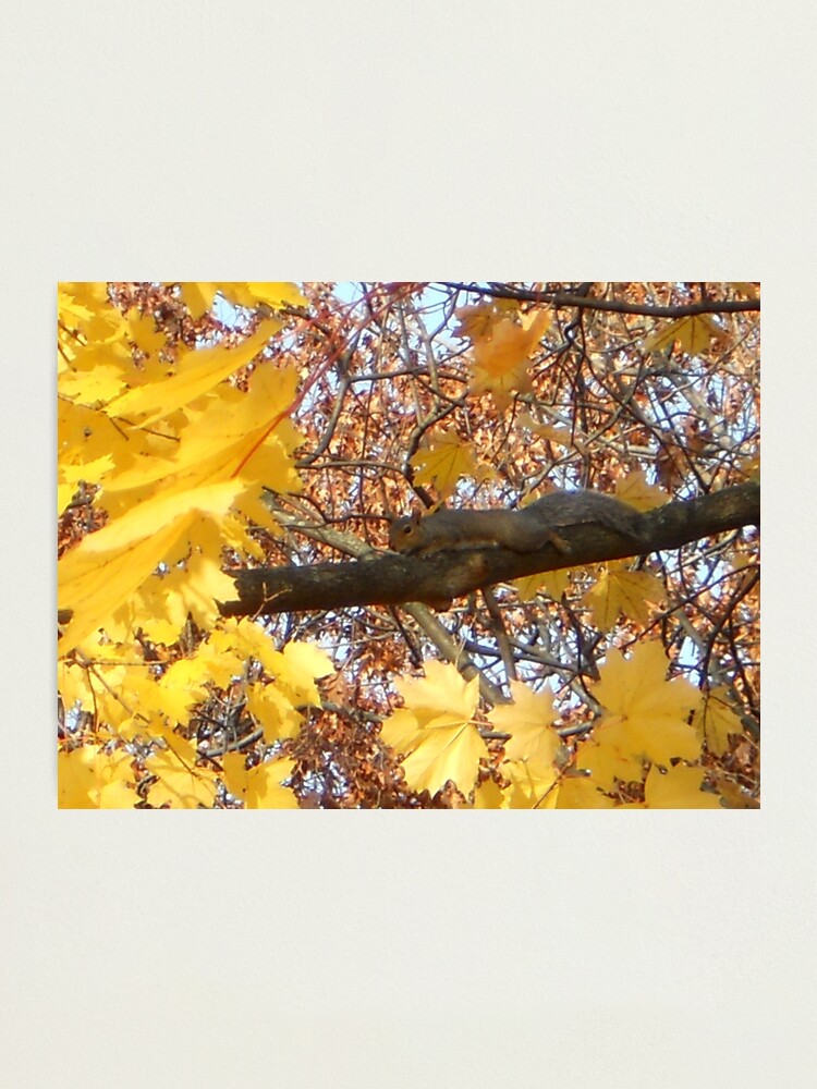 Alternate view of Become the Branch... Photographic Print