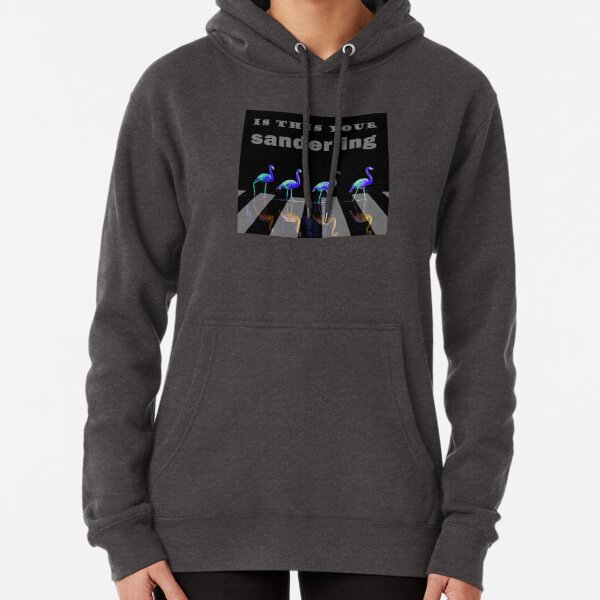 Float… float on. Is this your sanderling? Wade in the water, children. Pullover Hoodie