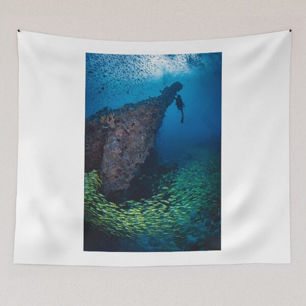 Item preview, School of fish in Maldives designed and sold by Jose Antonio  Castellano Garrido.