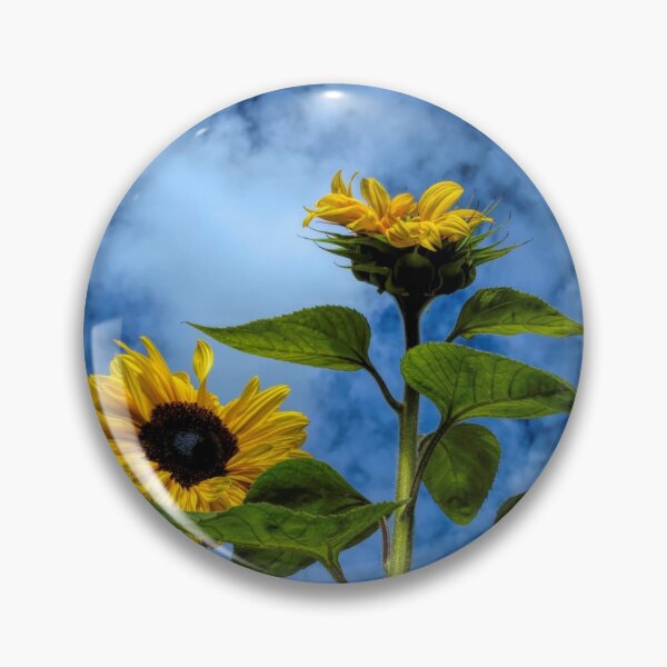 Item preview, rooftop sunflowers designed and sold by Barry W  King.