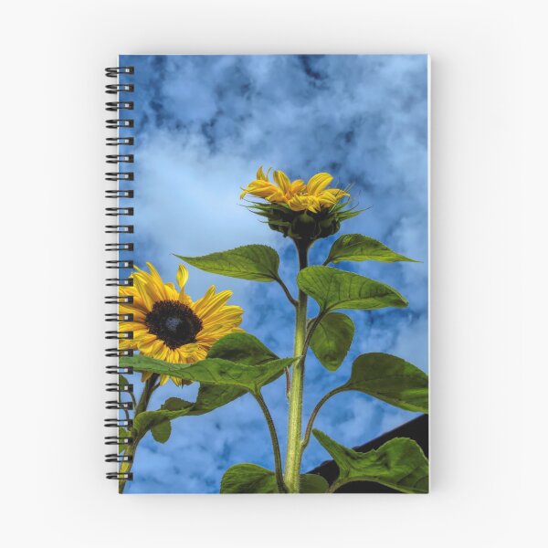 Item preview, rooftop sunflowers designed and sold by Barry W  King.