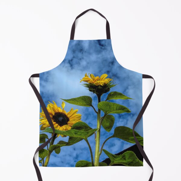 Item preview, rooftop sunflowers designed and sold by Barry W  King.