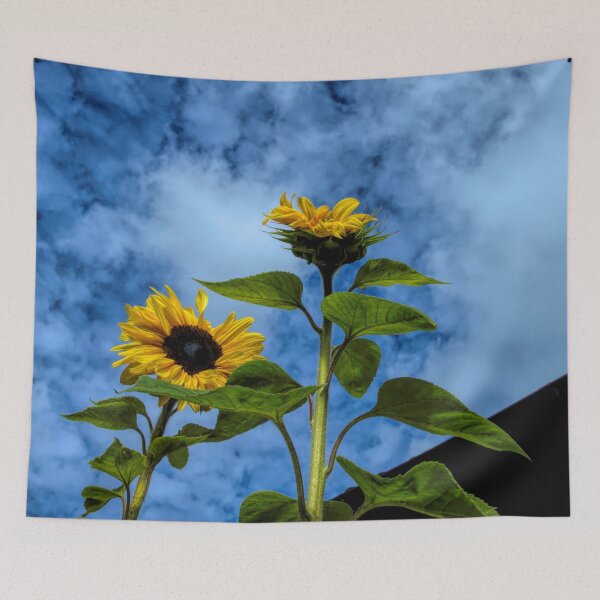 Item preview, rooftop sunflowers designed and sold by Barry W  King.