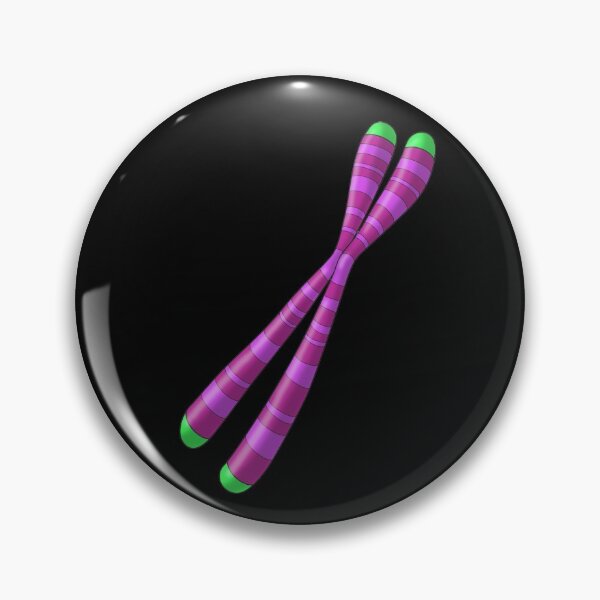 Artikelvorschau, Chromosom mit Telomeren an den Enden entworfen und verkauft von ScienceSource.