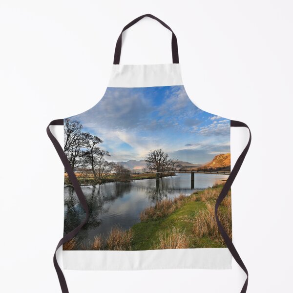 Item preview, Looking across Manesty and the Chinese Bridge designed and sold by Martin Lawrence.