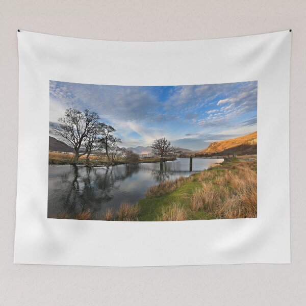 Item preview, Looking across Manesty and the Chinese Bridge designed and sold by Martin Lawrence.