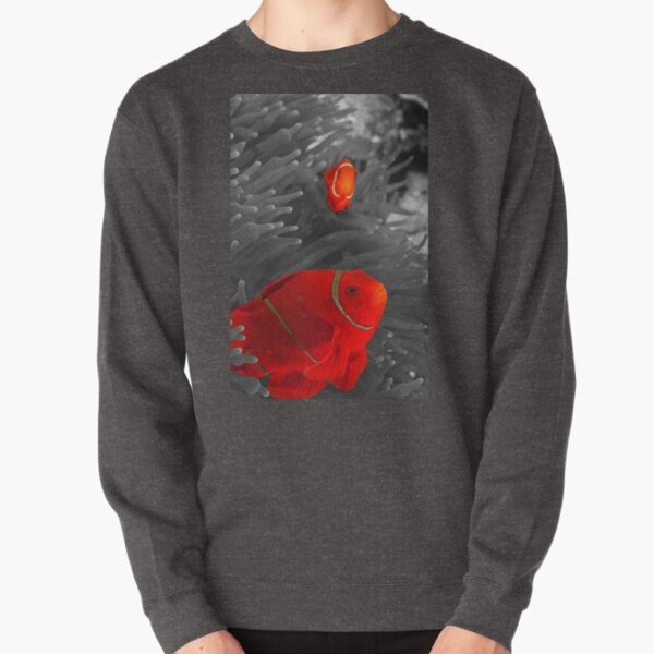 Spinecheek Anemonefish - selective colourisation Pullover Sweatshirt