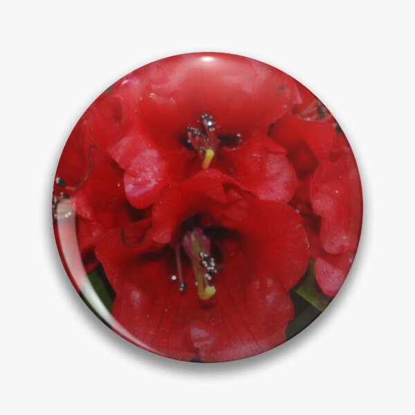 Item preview, Rhododendron haematodes ssp. haematodes designed and sold by justbmac.