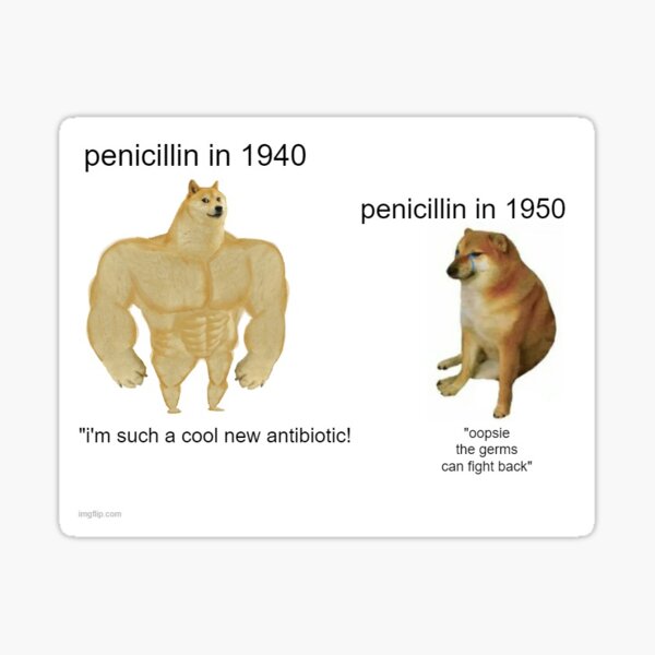 Penicillin Doge Meme Sticker By Superbugcrisis Redbubble