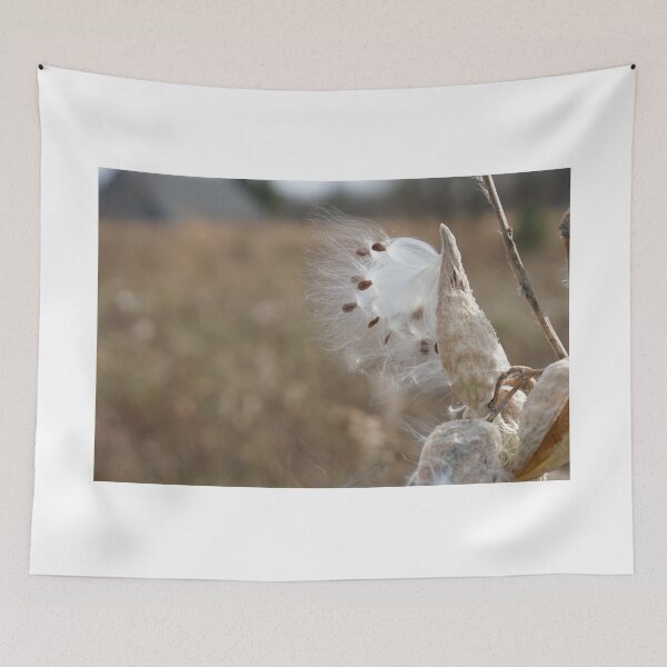 Item preview, wisconsin milkweed in november designed and sold by distracted.