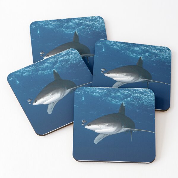 Item preview, Oceanic whitetip shark designed and sold by Jose Antonio  Castellano Garrido.