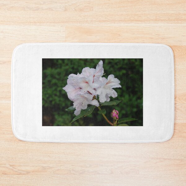 Item preview, Rhododendron haematodes ssp. chaetomallum designed and sold by justbmac.
