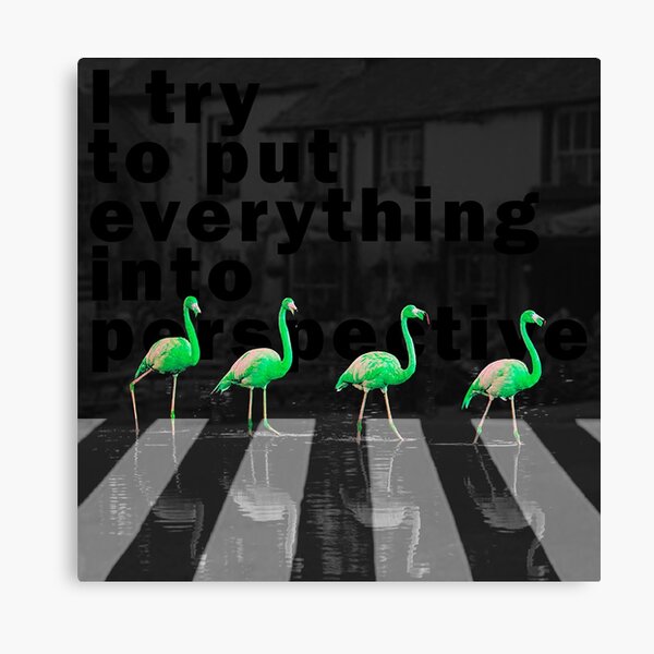 I try to put everything into perspective Canvas Print