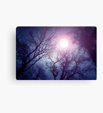 Dark enchanted photo of a full moon in the trees branches background. Blue and violet fairy-tale colors Canvas Print