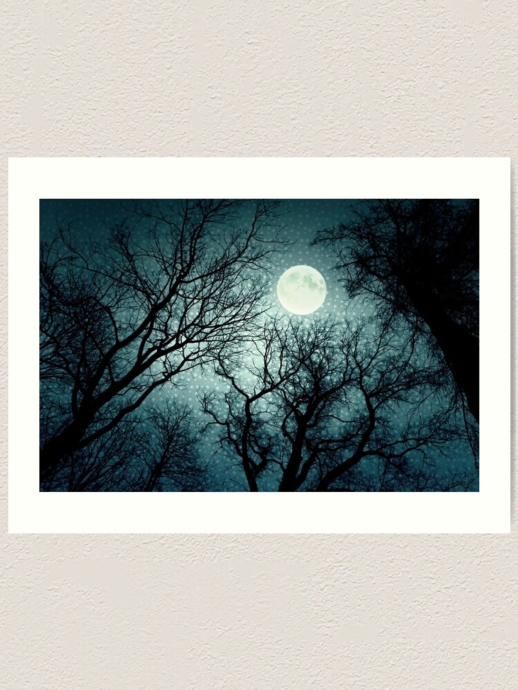 Dark Enchanted Photo Of A Full Moon In The Trees Branches Background Blue Fairy Tale Colors Art Print By Aquapixel Redbubble