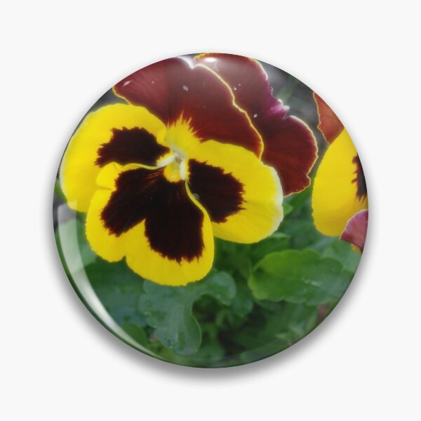 Item preview, Yellow & Black Pansies designed and sold by justbmac.