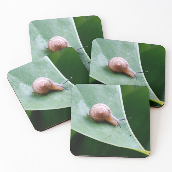 Item preview, Brown Garden Snail designed and sold by HisRuin.