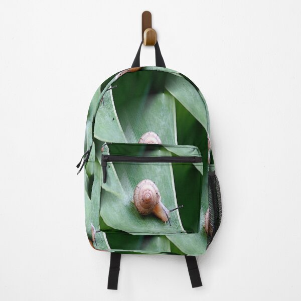 Item preview, Brown Garden Snail designed and sold by HisRuin.