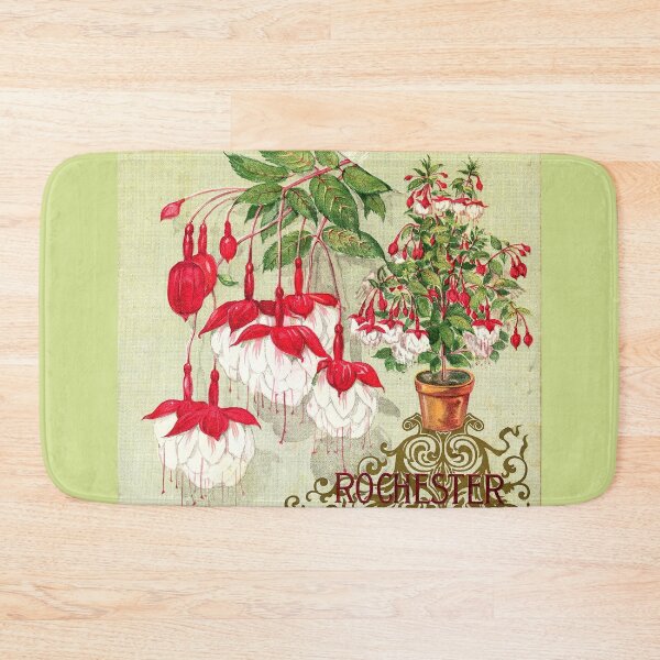 Item preview, Fuchsia - Double white phenomenal, Vick's 1872 designed and sold by killies.
