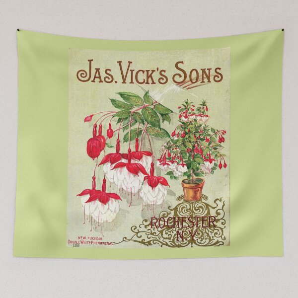 Item preview, Fuchsia - Double white phenomenal, Vick's 1872 designed and sold by killies.