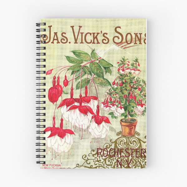 Item preview, Fuchsia - Double white phenomenal, Vick's 1872 designed and sold by killies.