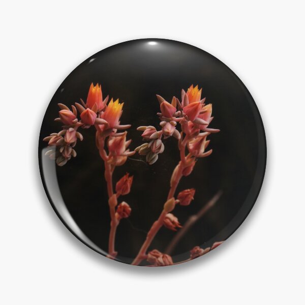 Item preview, Succulent Appreciation designed and sold by LoganMakes.