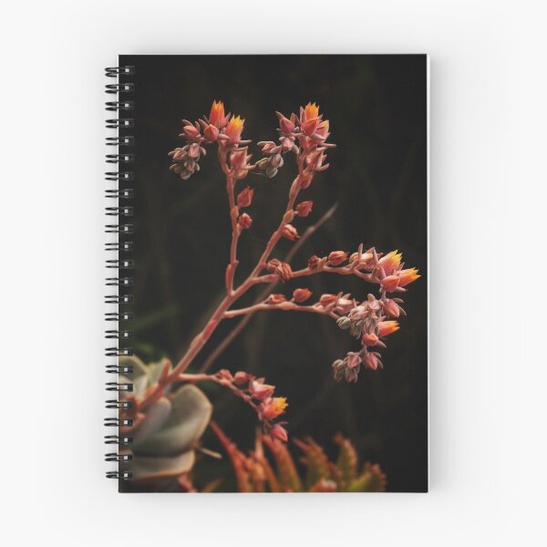Aperçu de l'œuvre Appréciation succulente créée et vendue par LoganMakes.