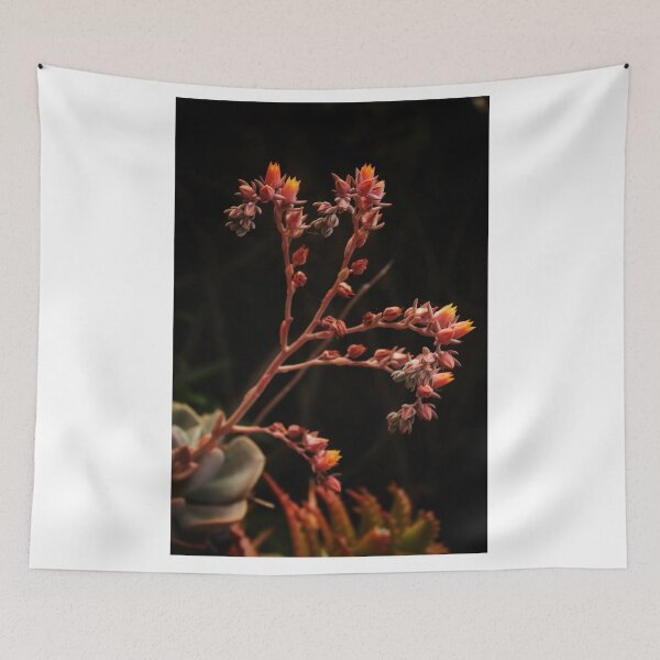Item preview, Succulent Appreciation designed and sold by LoganMakes.