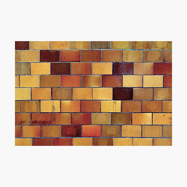 Gym Wall Tiles, Central School Photographic Print