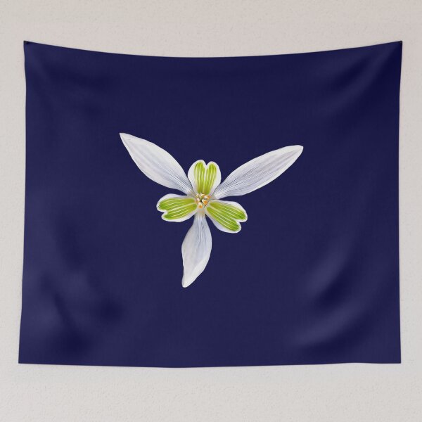 Item preview, Snowdrop  designed and sold by Christoferos.