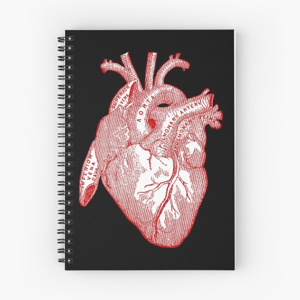 Item preview, Heart to Heart - Filled Anatomical Human Heart designed and sold by Pixelchicken.