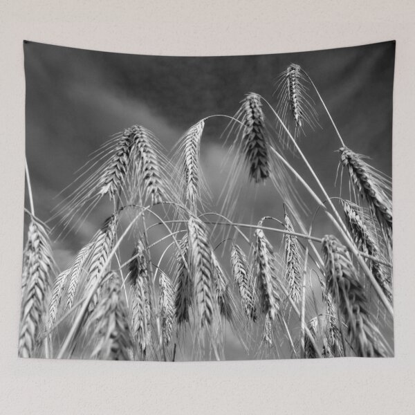 Item preview, Barley ears in black and white designed and sold by NavorolArt.