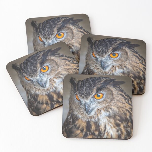 Item preview, Eagle Owl designed and sold by Steve Liptrot Photography.