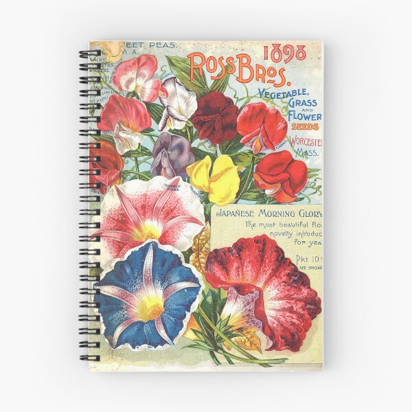 Item preview, Sweet peas and Japanese morning glories - Ross 1898 designed and sold by killies.