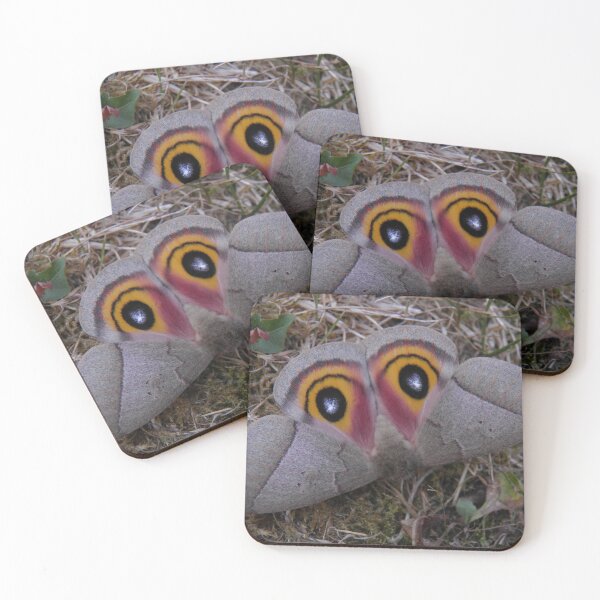 Item preview, Automeris iris - Saturniidae - Moth designed and sold by Entomologist.
