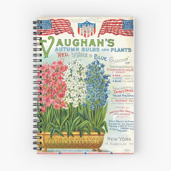 Item preview, Red, white, and blue hyacinths - Vaughan's Seed Store. 1898. designed and sold by killies.