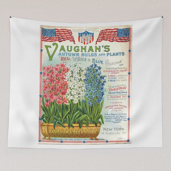 Item preview, Red, white, and blue hyacinths - Vaughan's Seed Store. 1898. designed and sold by killies.