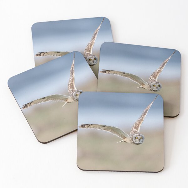 Item preview, Short-eared Owl designed and sold by Steve Liptrot Photography.