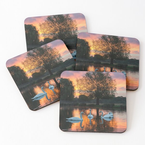Item preview, Sunrise in Bushy Park designed and sold by Steve Liptrot Photography.