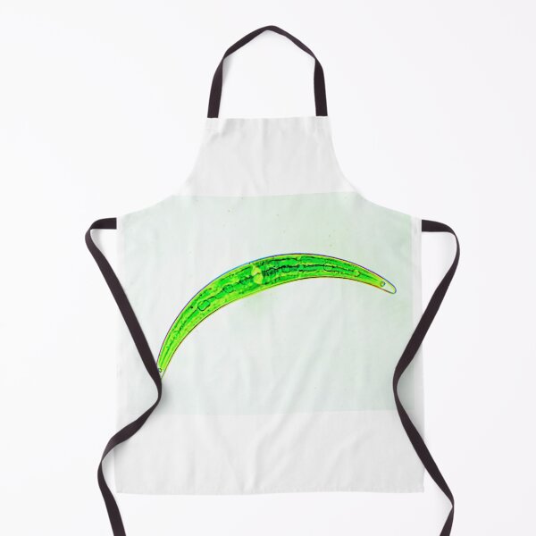 Item preview, Diatom designed and sold by Joe Saladino.