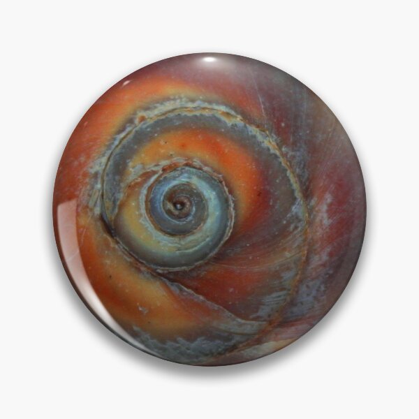 Item preview, shell eye designed and sold by Linda Sannuti.