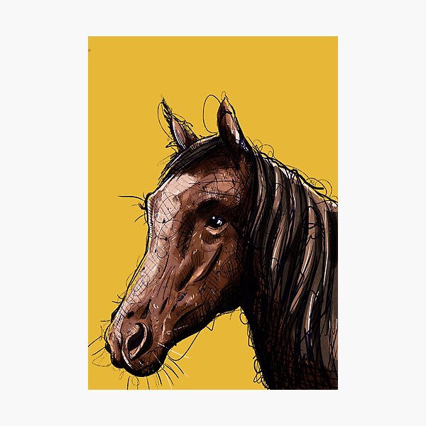 Art Mural Sur Le Theme Cheval Alezan Redbubble