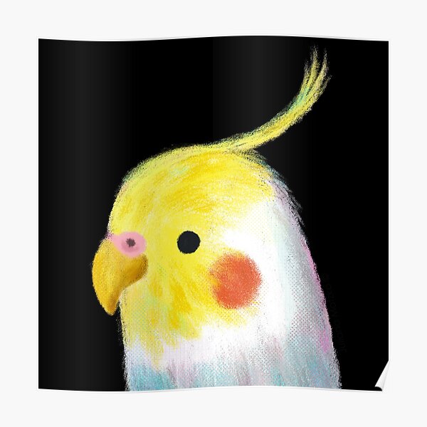 Cockatiel Bird Poster