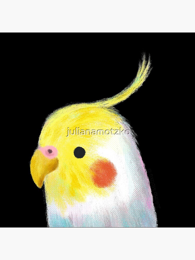 Cockatiel Bird by julianamotzko