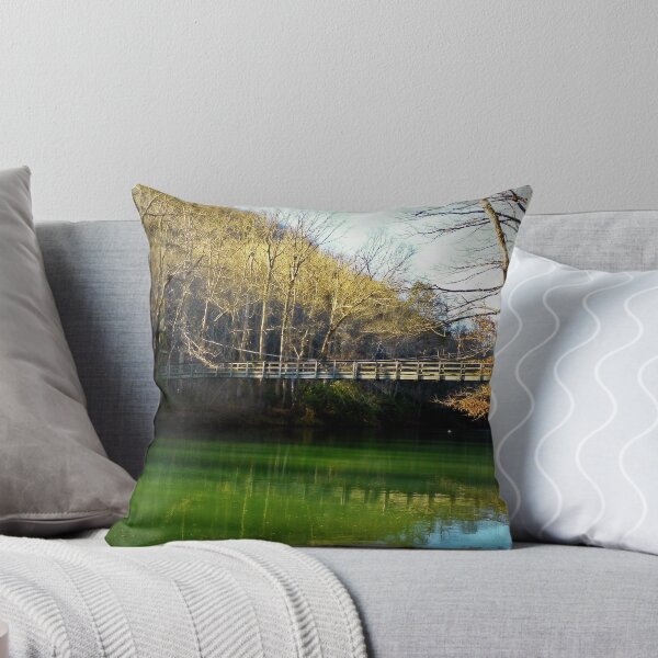 Item preview, Bridge Over Green Water  designed and sold by Paul Lubaczewski.